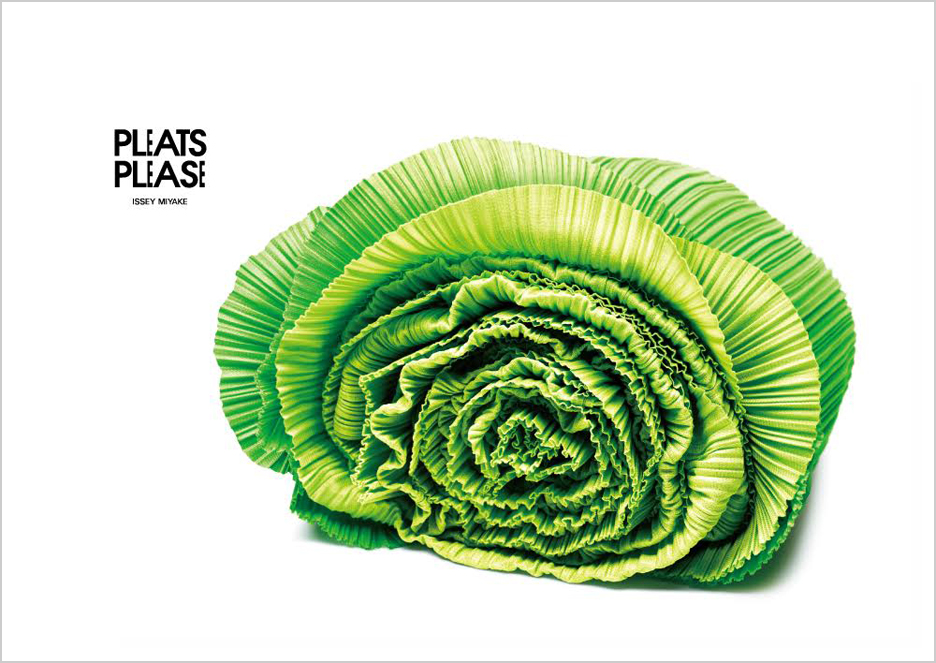 New Visual Series VITAMIN Cabbage