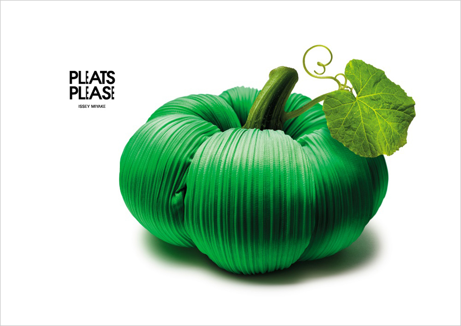 Visual series: VITAMIN pumpkins