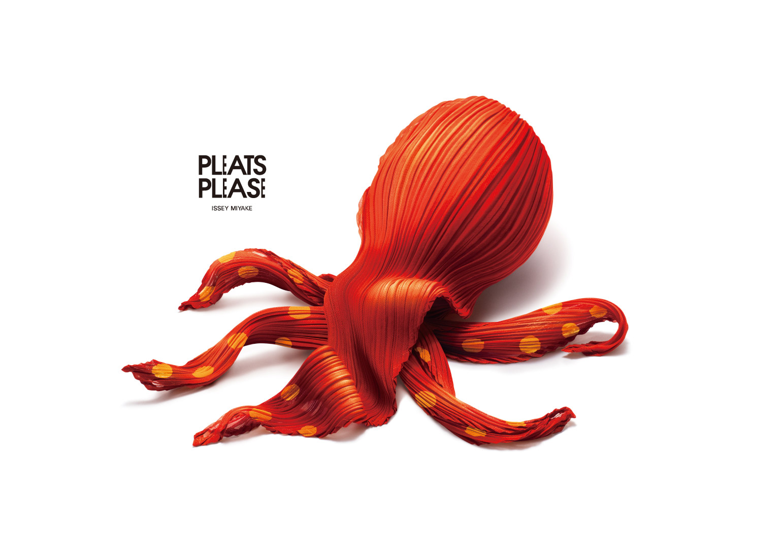New Visual Series: SEA, octopus