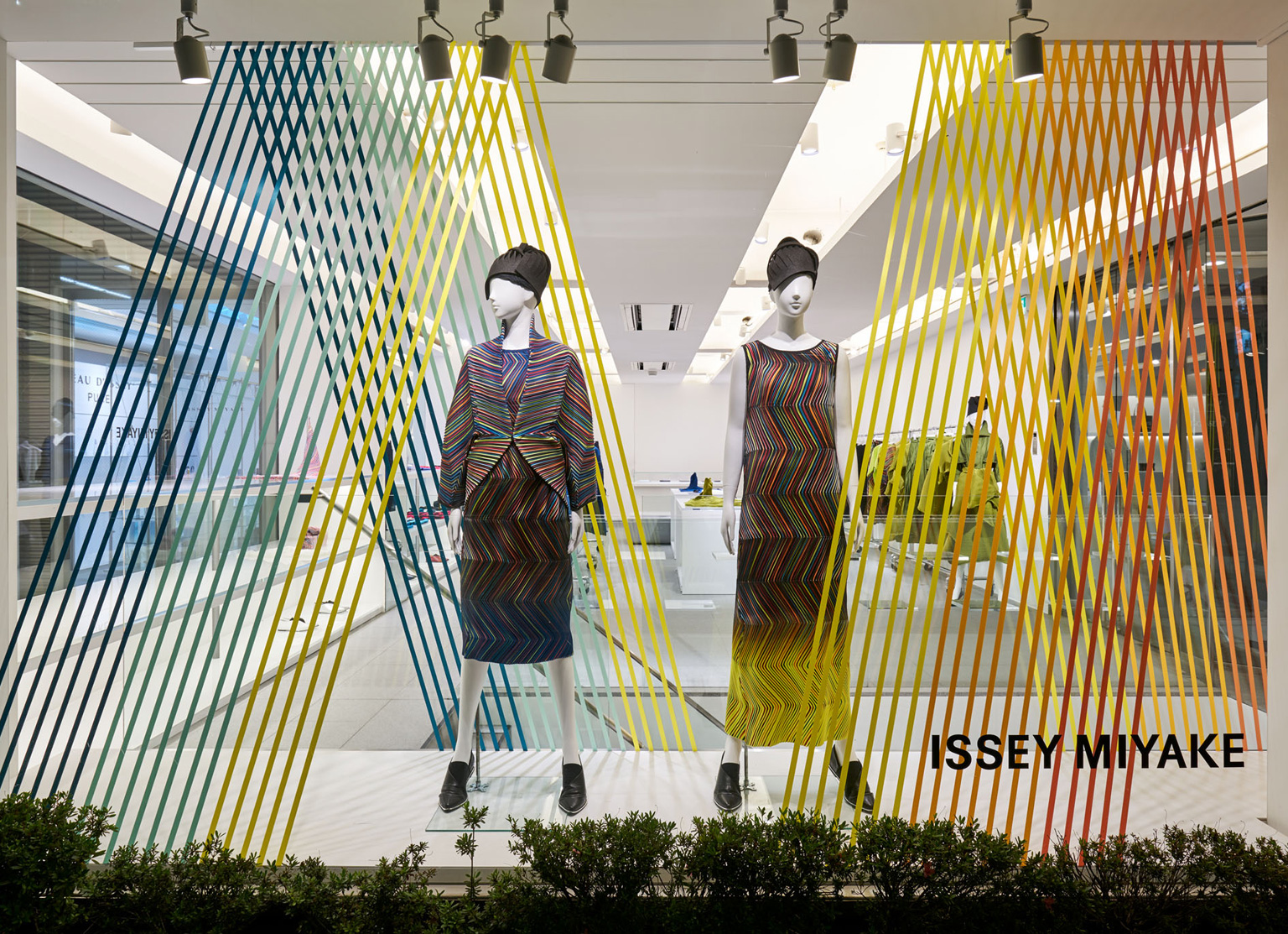 ISSEY MIYAKE / AOYAMA