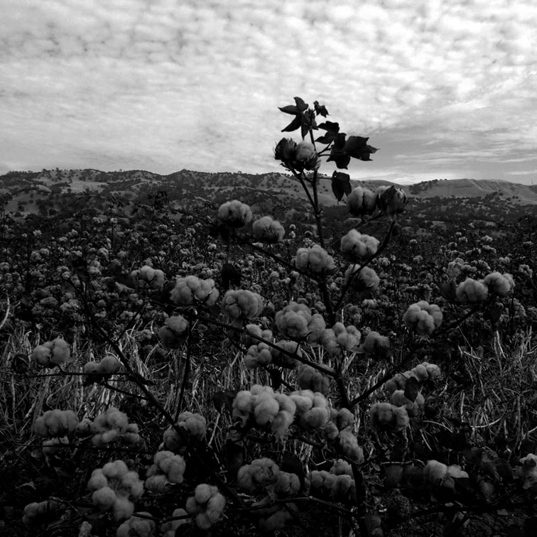 Haat Craftsmanship Japan 手工制作 Haat 品牌 Issey Miyake Inc